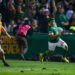 Springboks Dominate Wallabies in Powerful Rugby Championship Opener