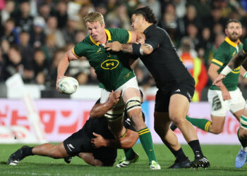 Springboks World Cup Plans on track