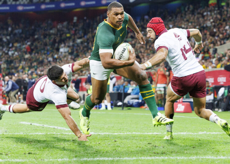 Erasmus to dial down on experiments for Rugby Championship