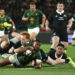 Rampant Springboks Humble All Blacks in Historic Wellington Triumph