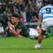 Springboks Crush Argentina to Take Rugby Championship Lead