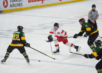 Home Ice Advantage: South African Rhinos Gear Up for the IIHF World Championship in Cape Town