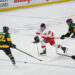Home Ice Advantage: South African Rhinos Gear Up for the IIHF World Championship in Cape Town