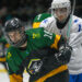 Grand Finale at the Ice Station: Rhinos Edge Bosnia & Herzegovina 4-3 in World Championship Thriller
