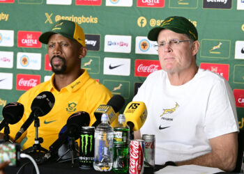 Exciting teams named for Gqeberha double-header
