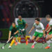 Hartleyvale Heartstopper: SA Edge Ireland for Semi-Final Berth