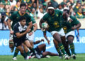 Boks Smash Barbarians in Gqeberha Try-Fest