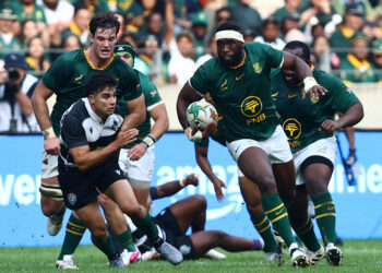 Boks Smash Barbarians in Gqeberha Try-Fest